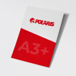 LOCANDINA A3+