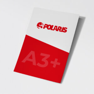 LOCANDINA A3+